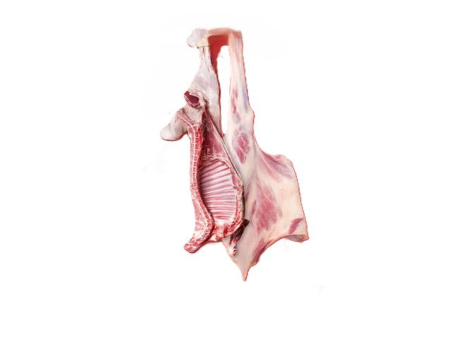 Whole Lamb Naeemi Kashmiri + 2 Kg Small Camel Lamb