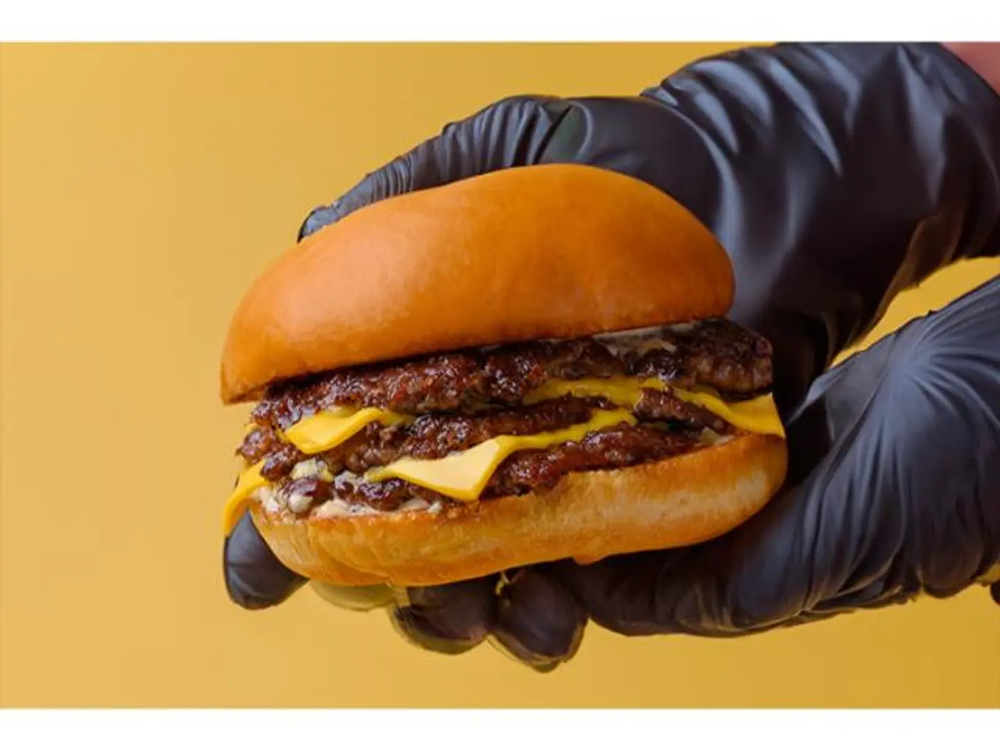 Burger Special With Fries