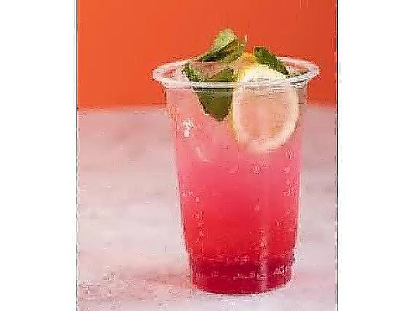 Pomegranate Mojito