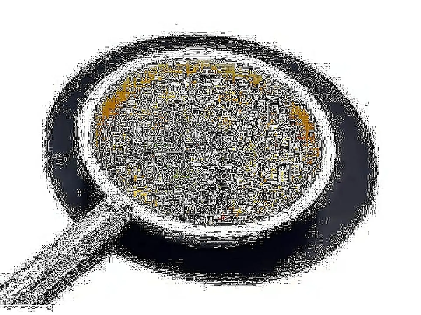 بازاليا سادة