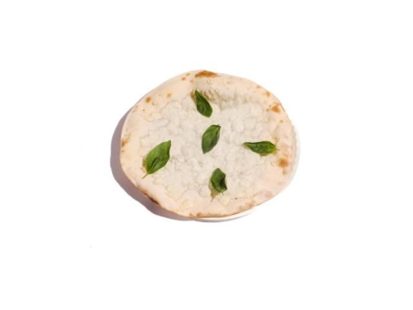 الاجبان الاربعة