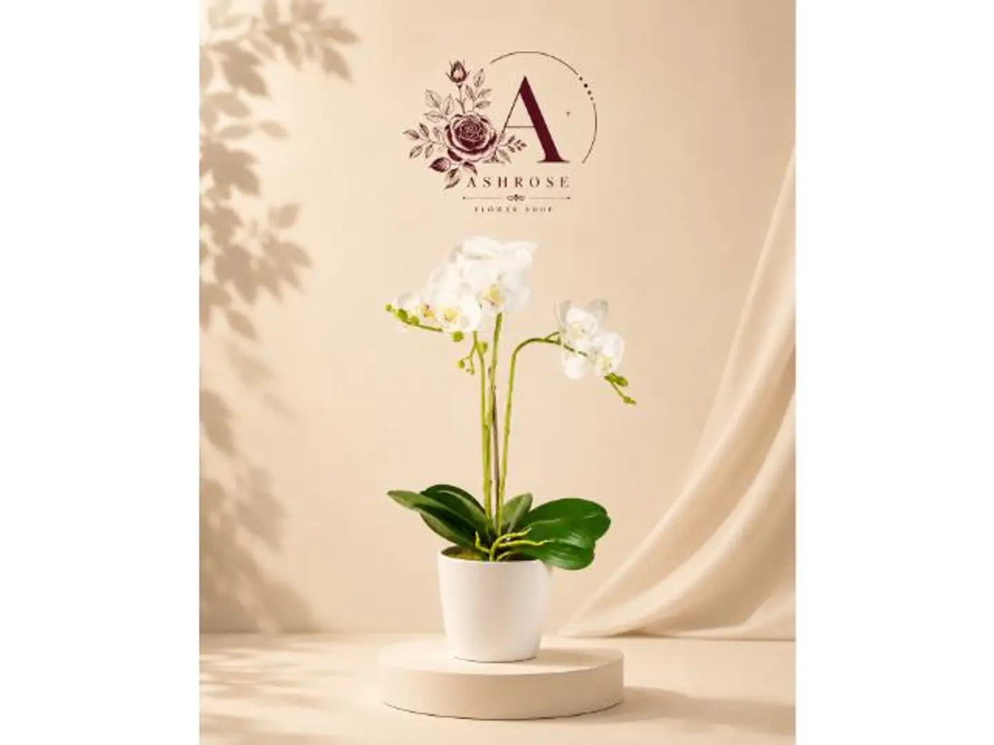Royal White Orchid Arrangement