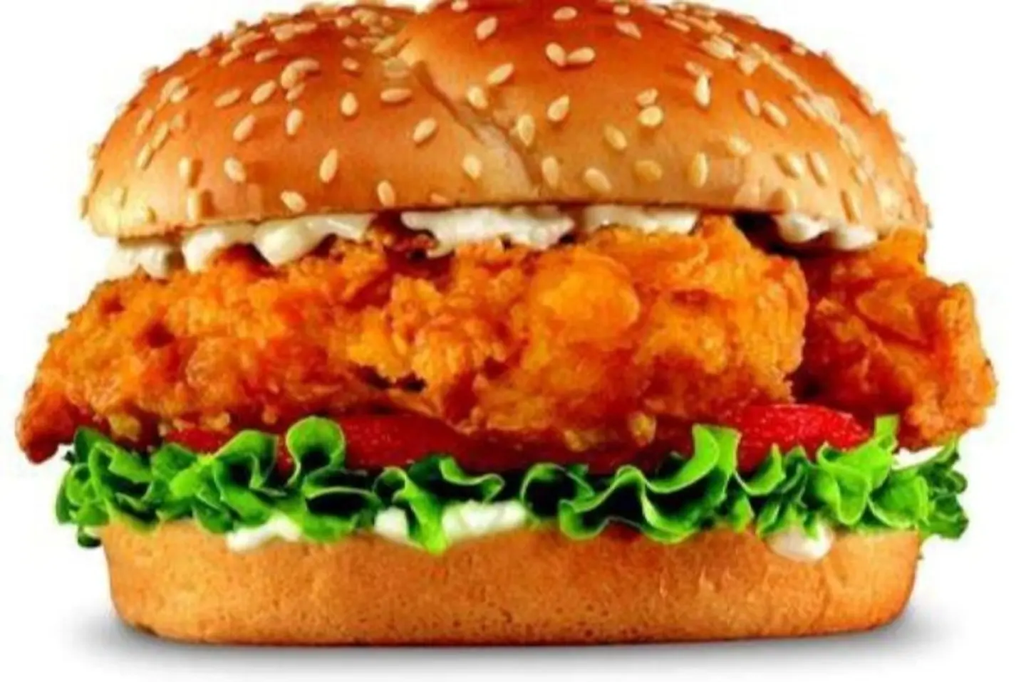 Crispy Chicken Burger