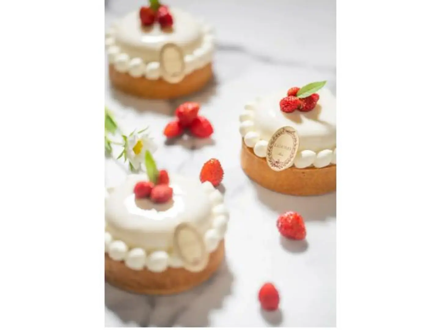 Frisheur Tart