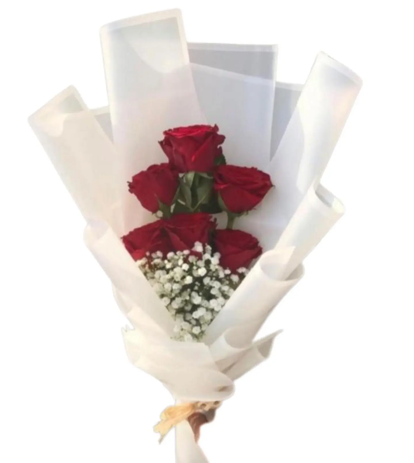 السداسية