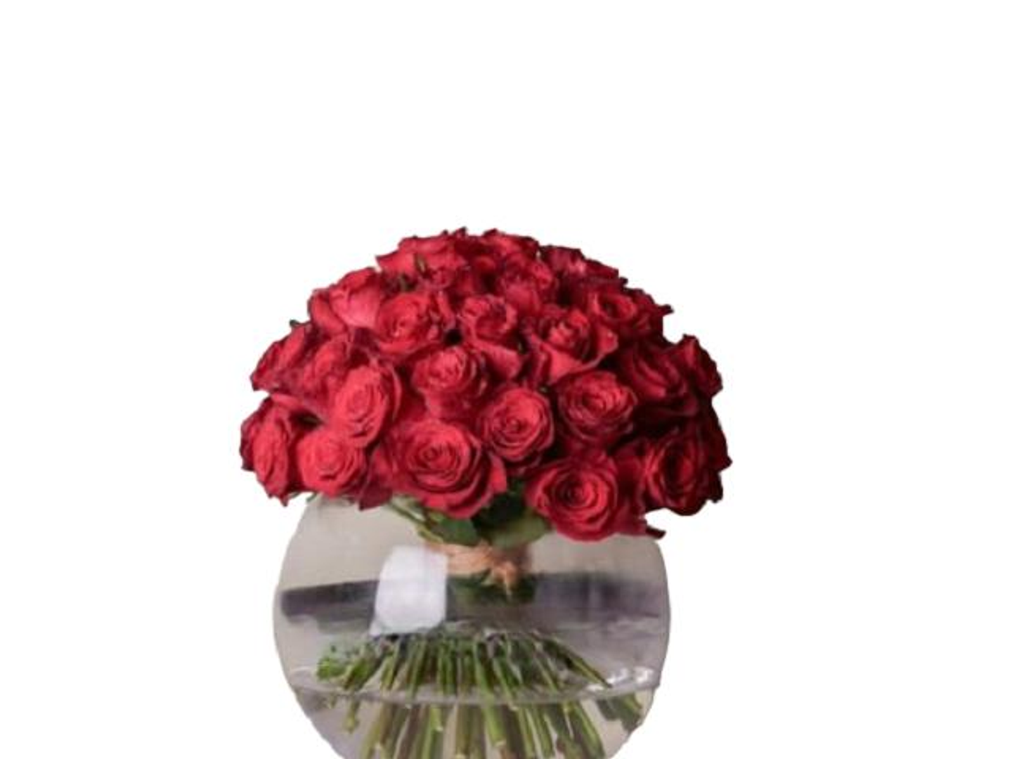 فازة عشق