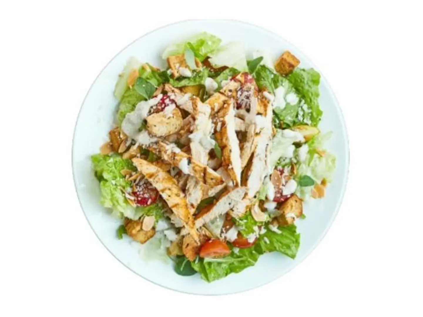 Chicken Caesar Salad