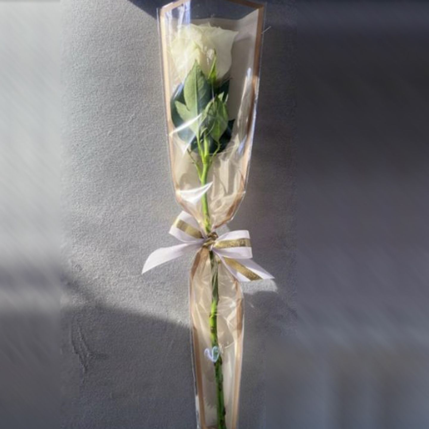 Rose Giveaways   3