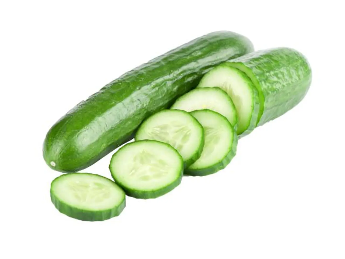 Cucumber Holland