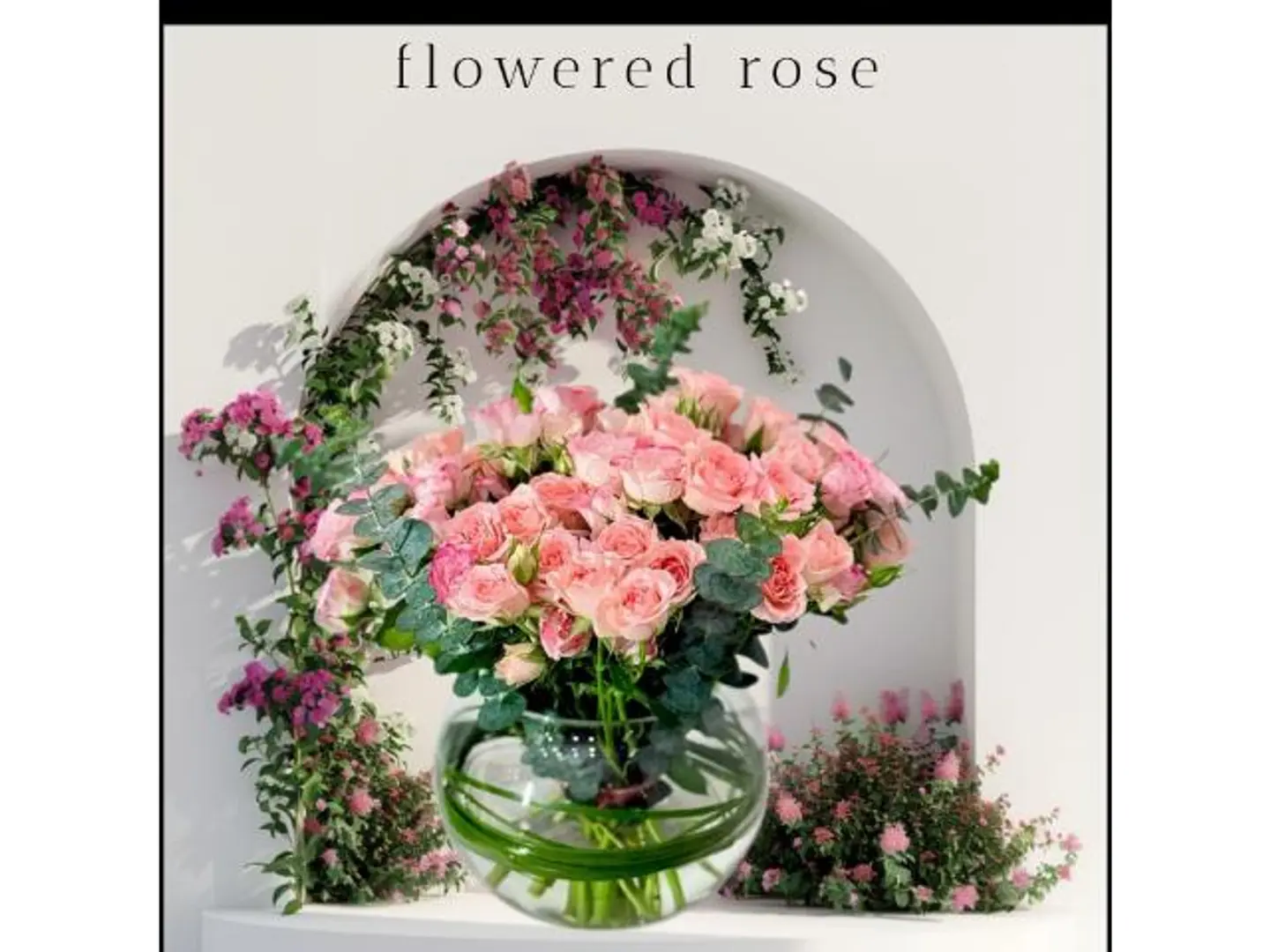 فازه البببي بنك