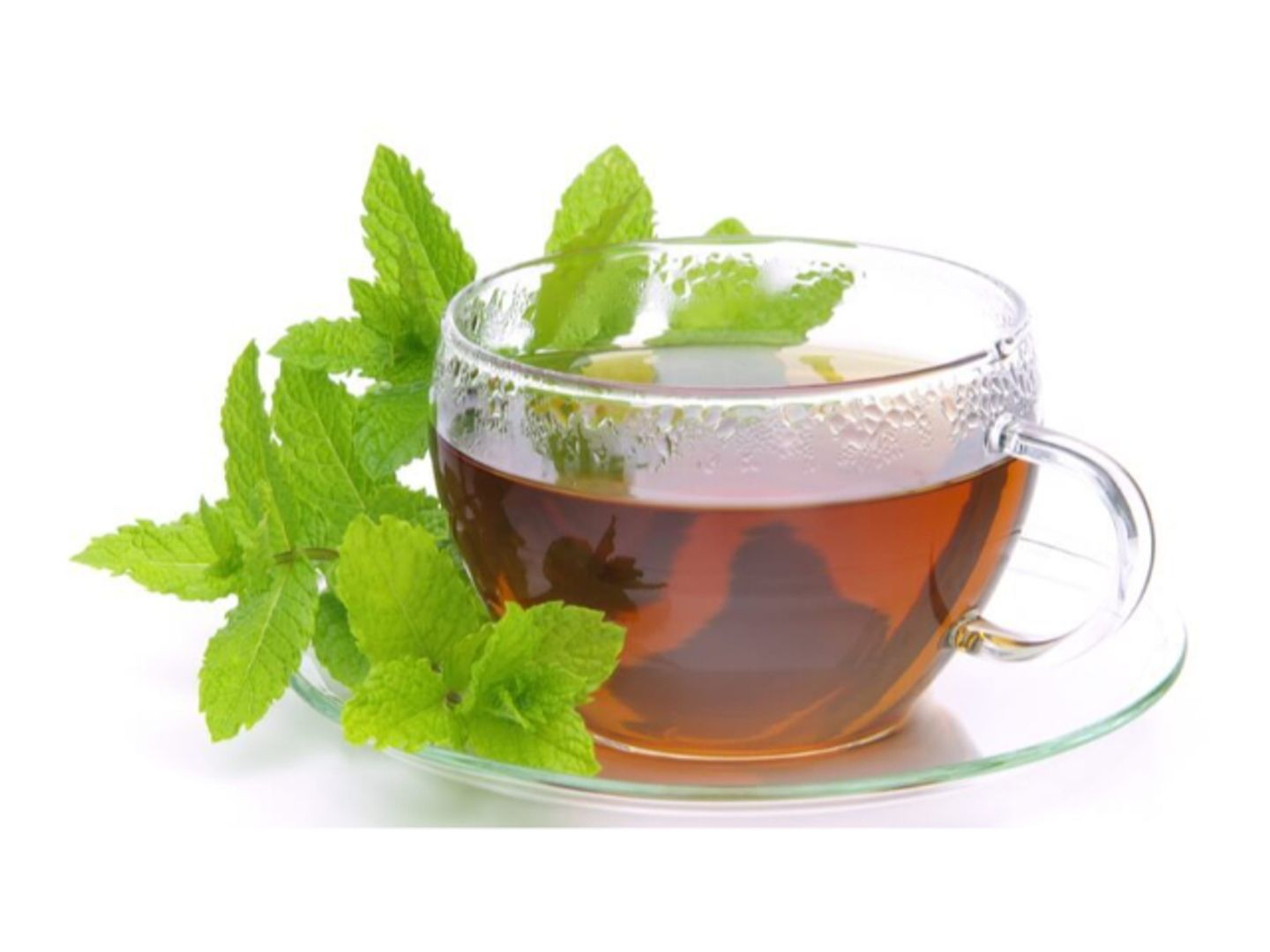شاي حبق