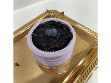 قطعة جاتوة بلوبيرى