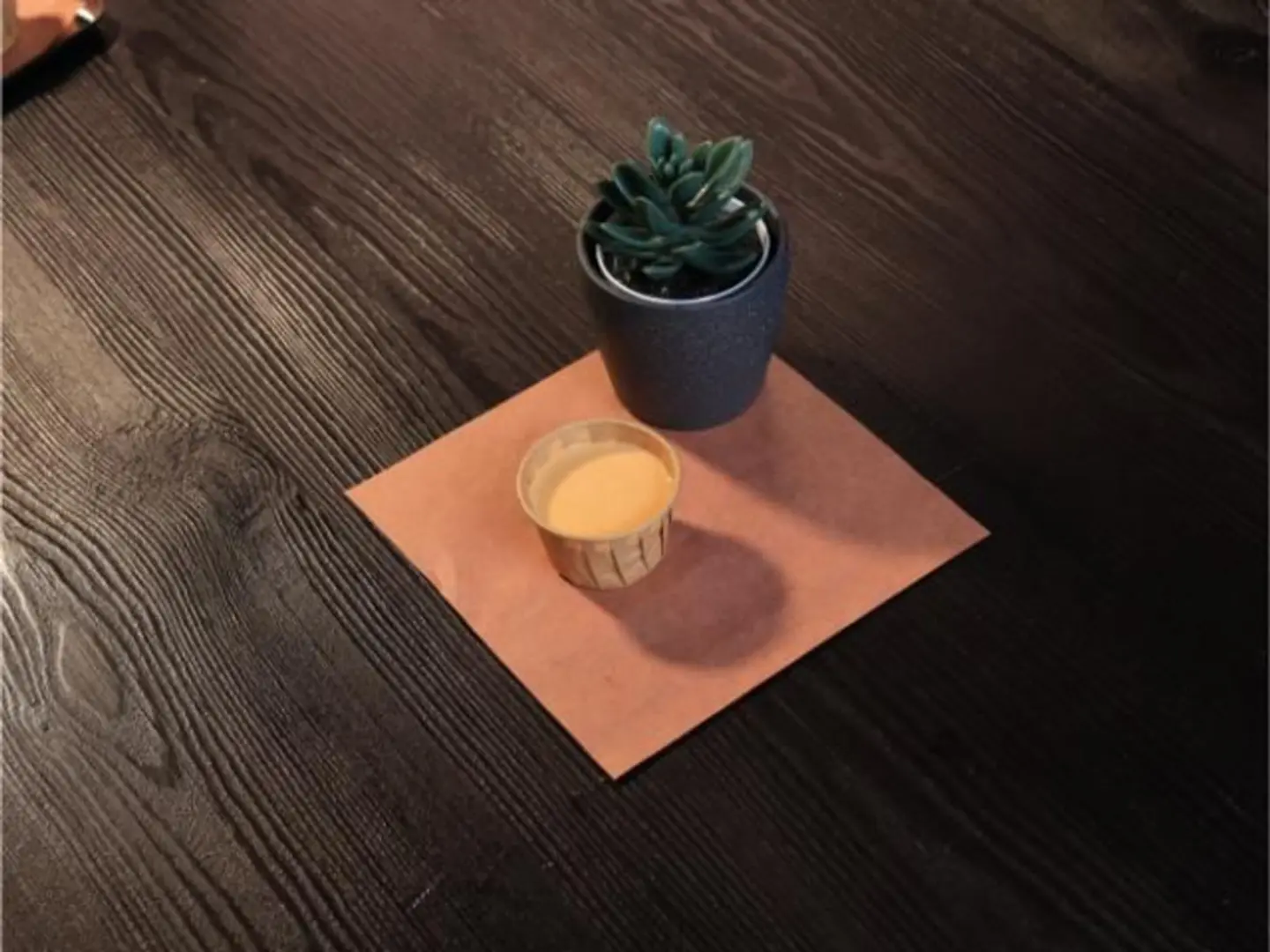 صوص بافلو رانش