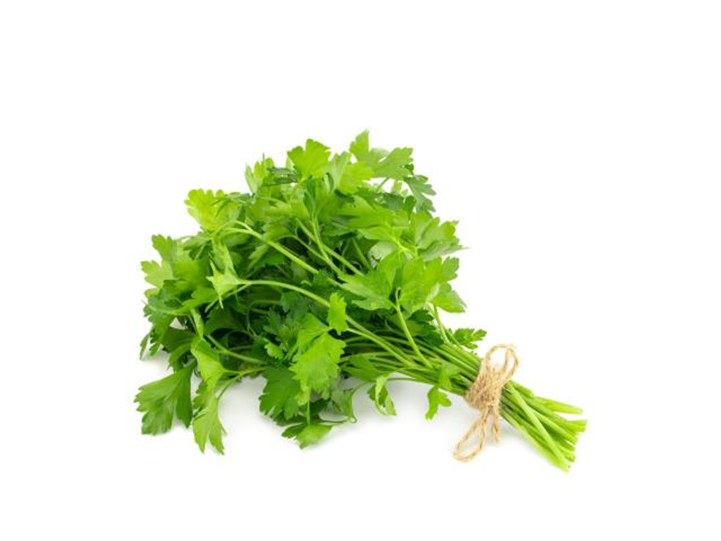 Coriander