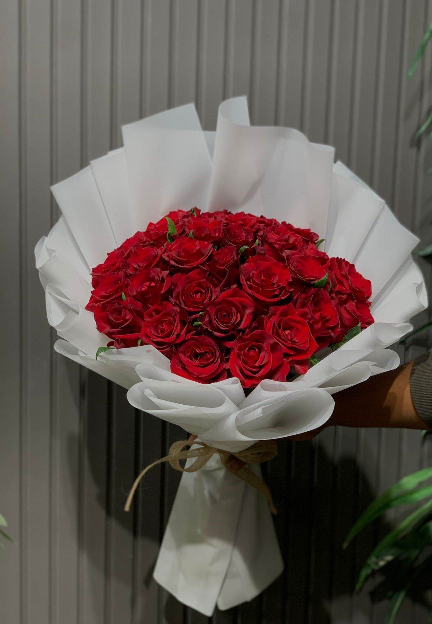 Red Jory 2