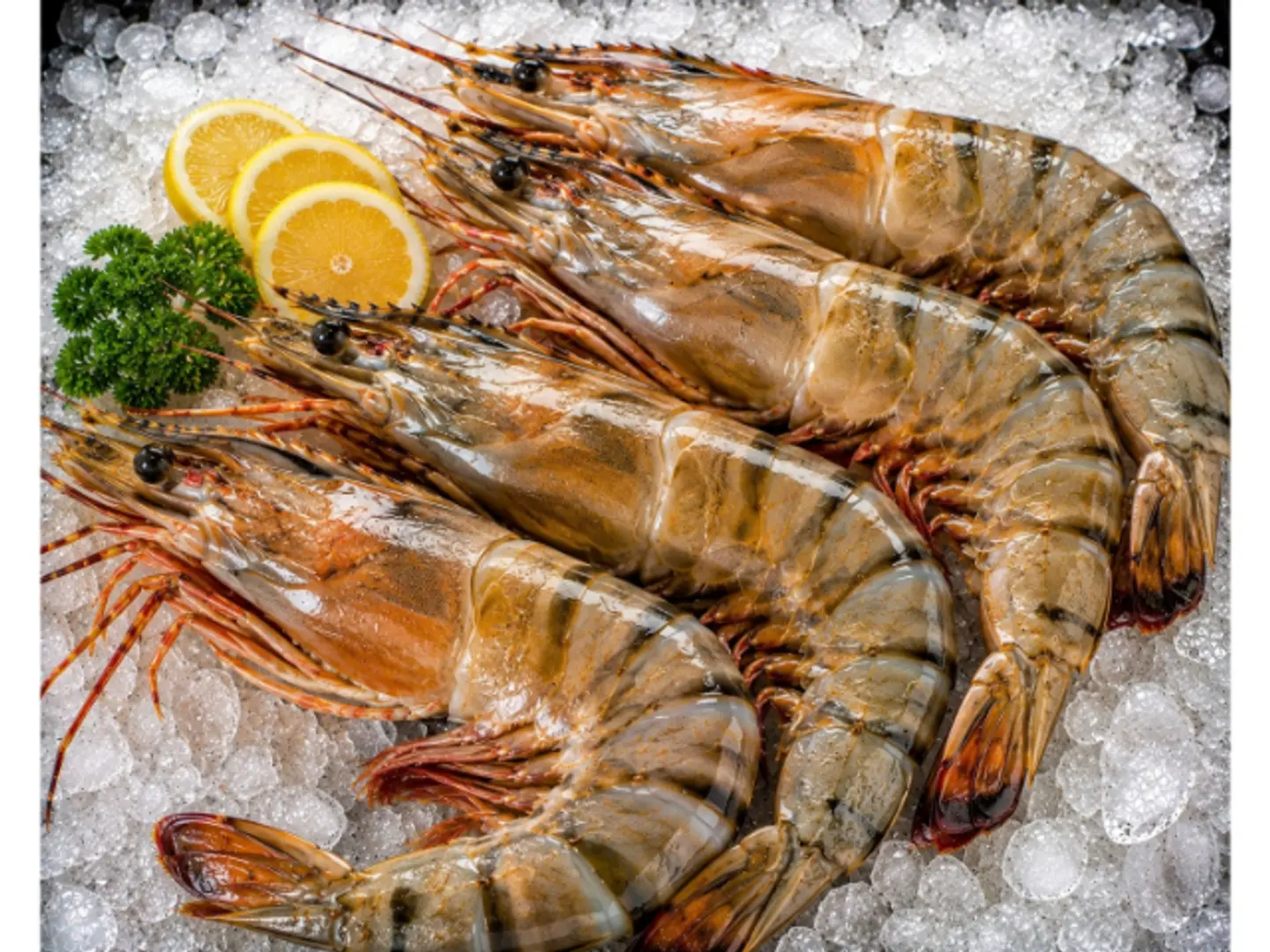 Jumbo Shrimp