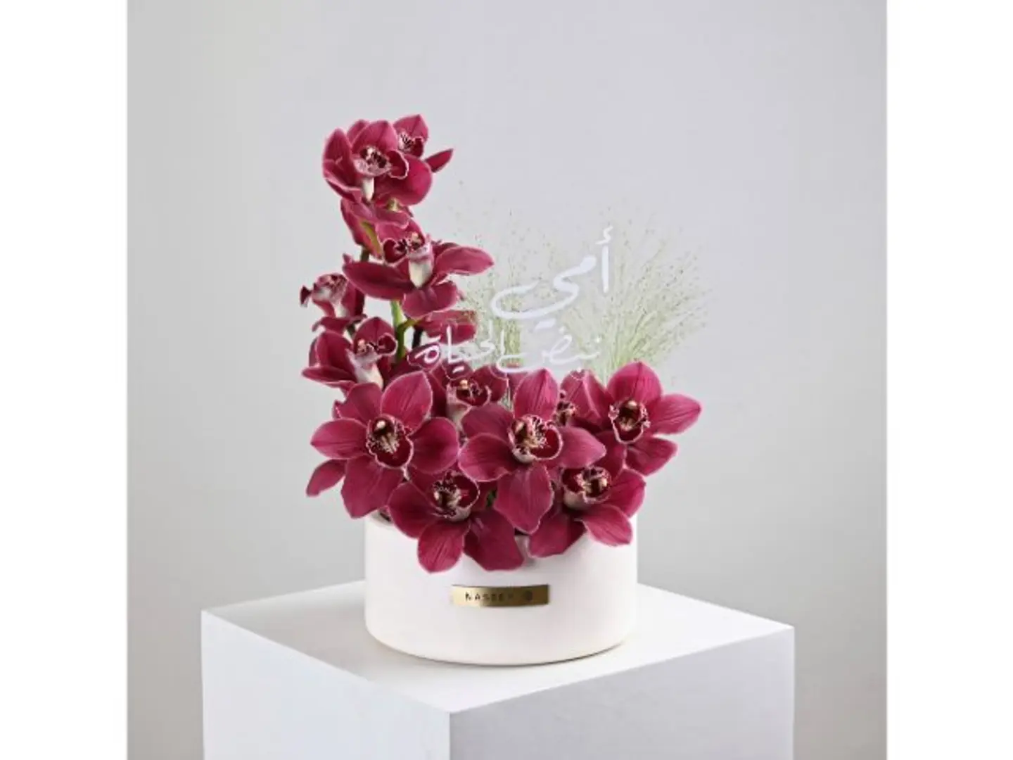 فازة الجمال البرغندي للأم