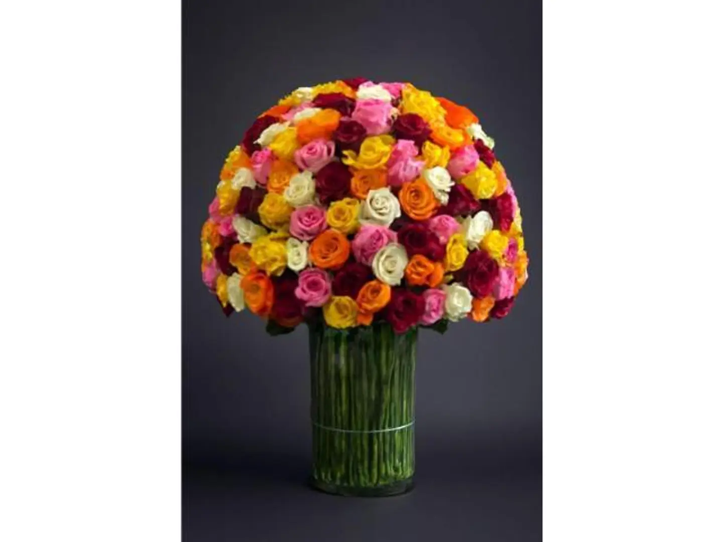 فازه 100 وردة ملونة