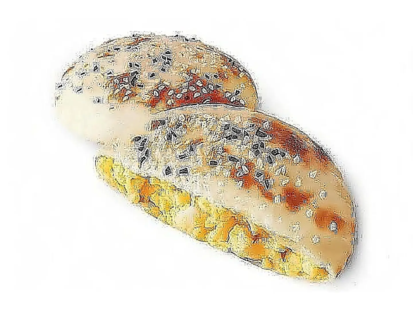 Special Eggs