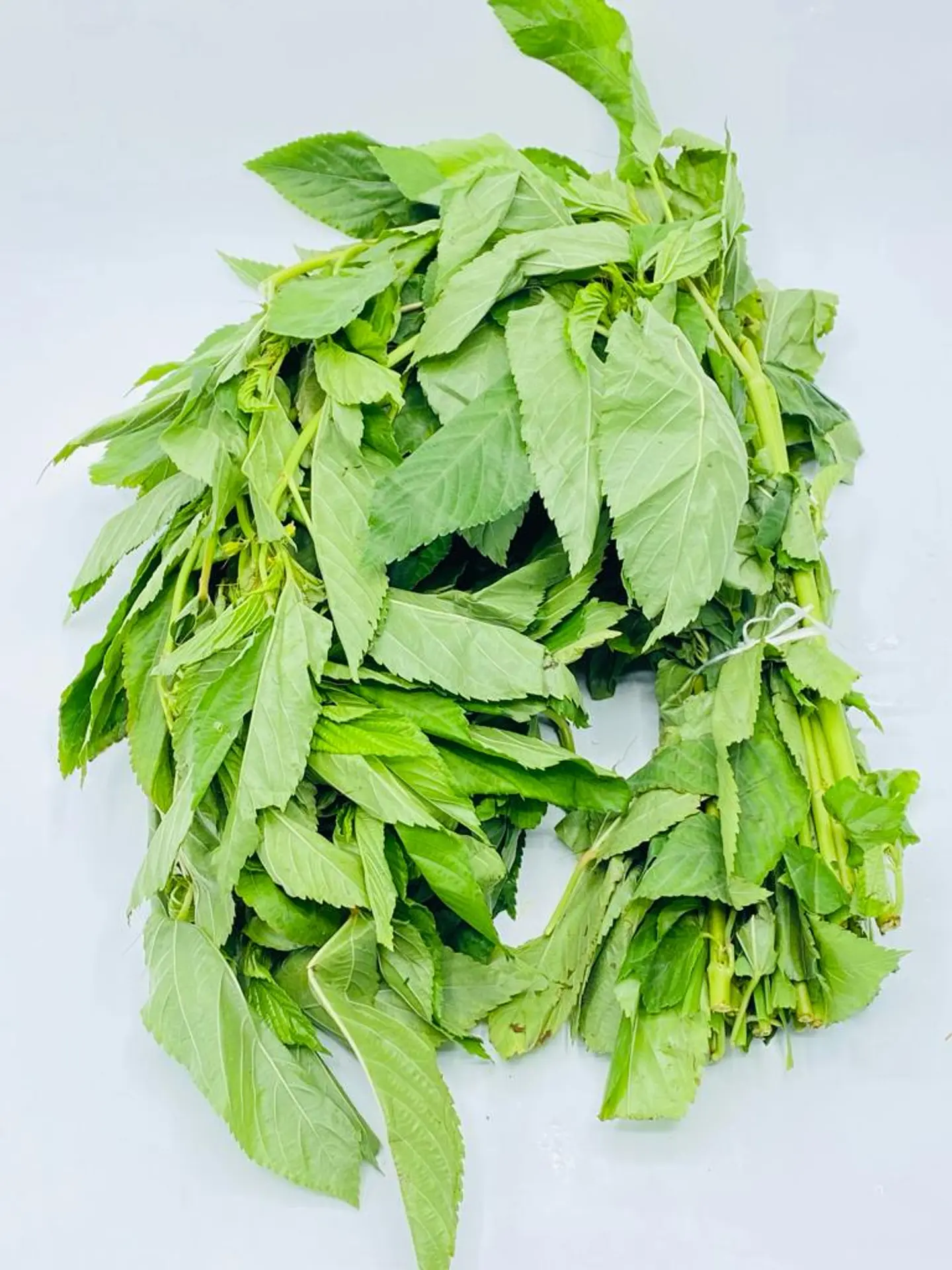 Molokhiya My Package
