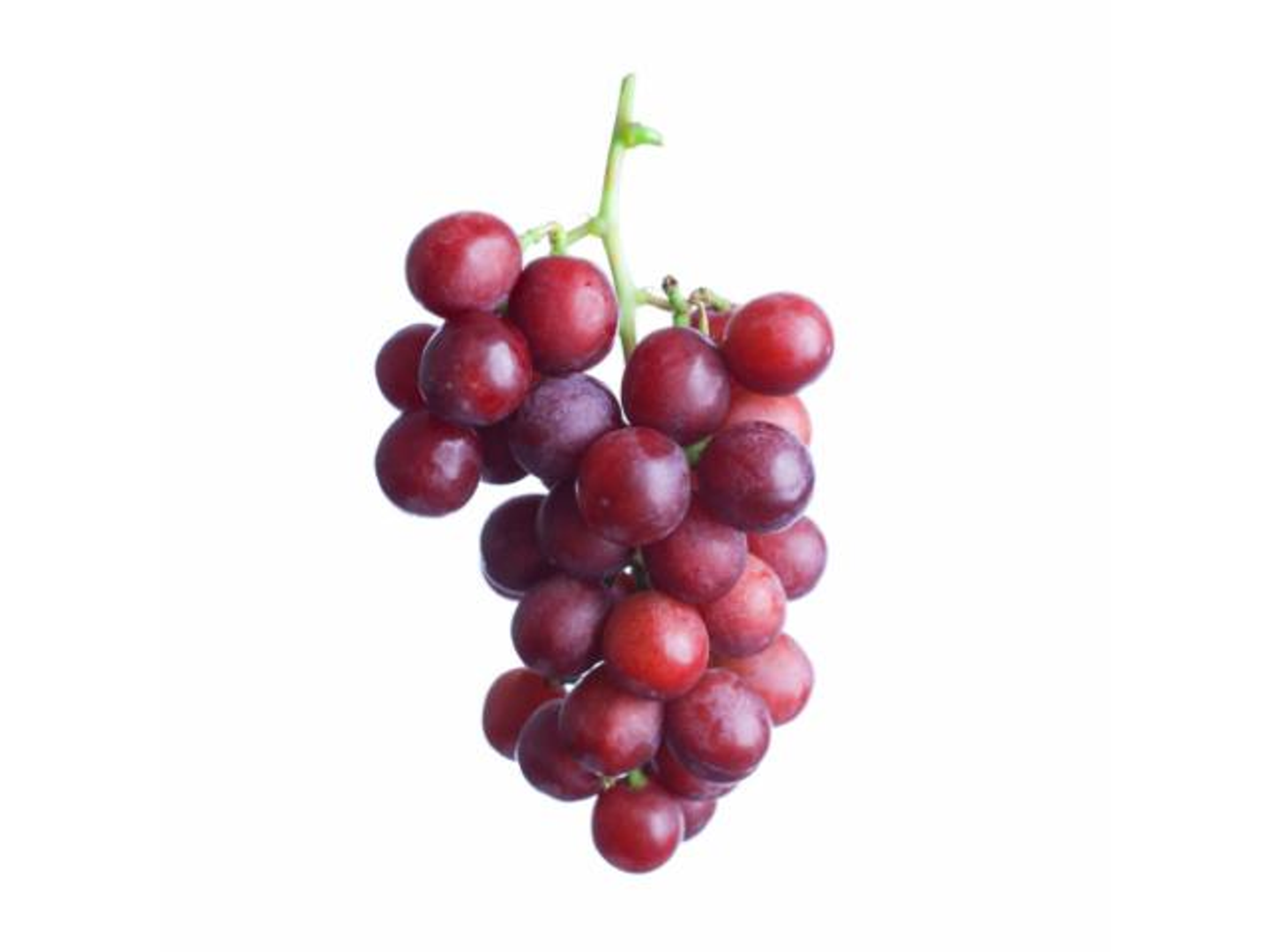 عنب احمر استرالي كيلو