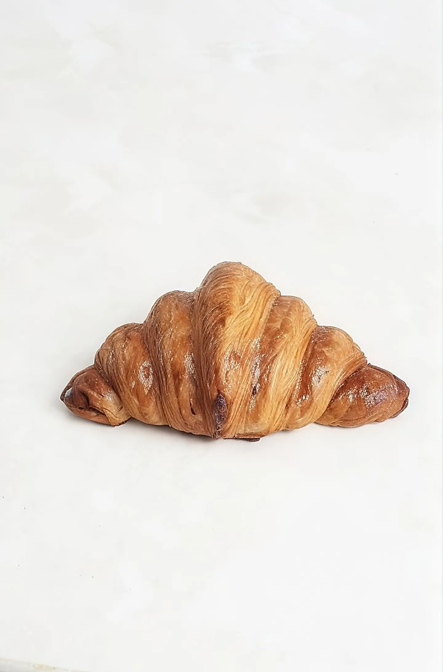 Plain Croissant