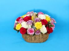 Colors Harmony Basket 0204