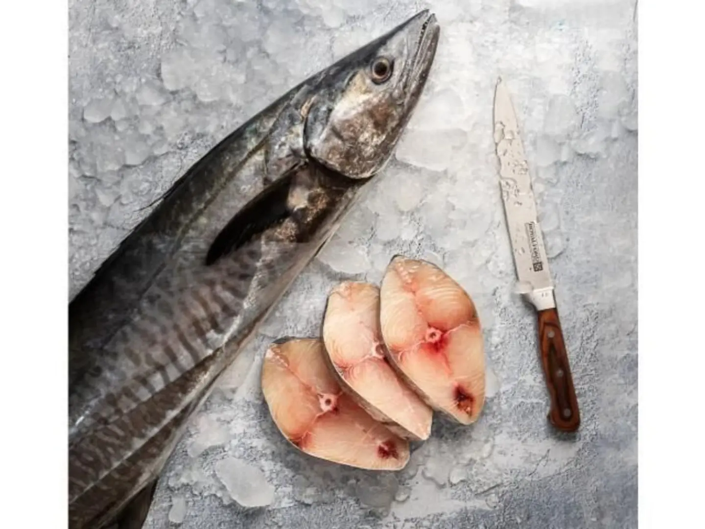 Mackerels