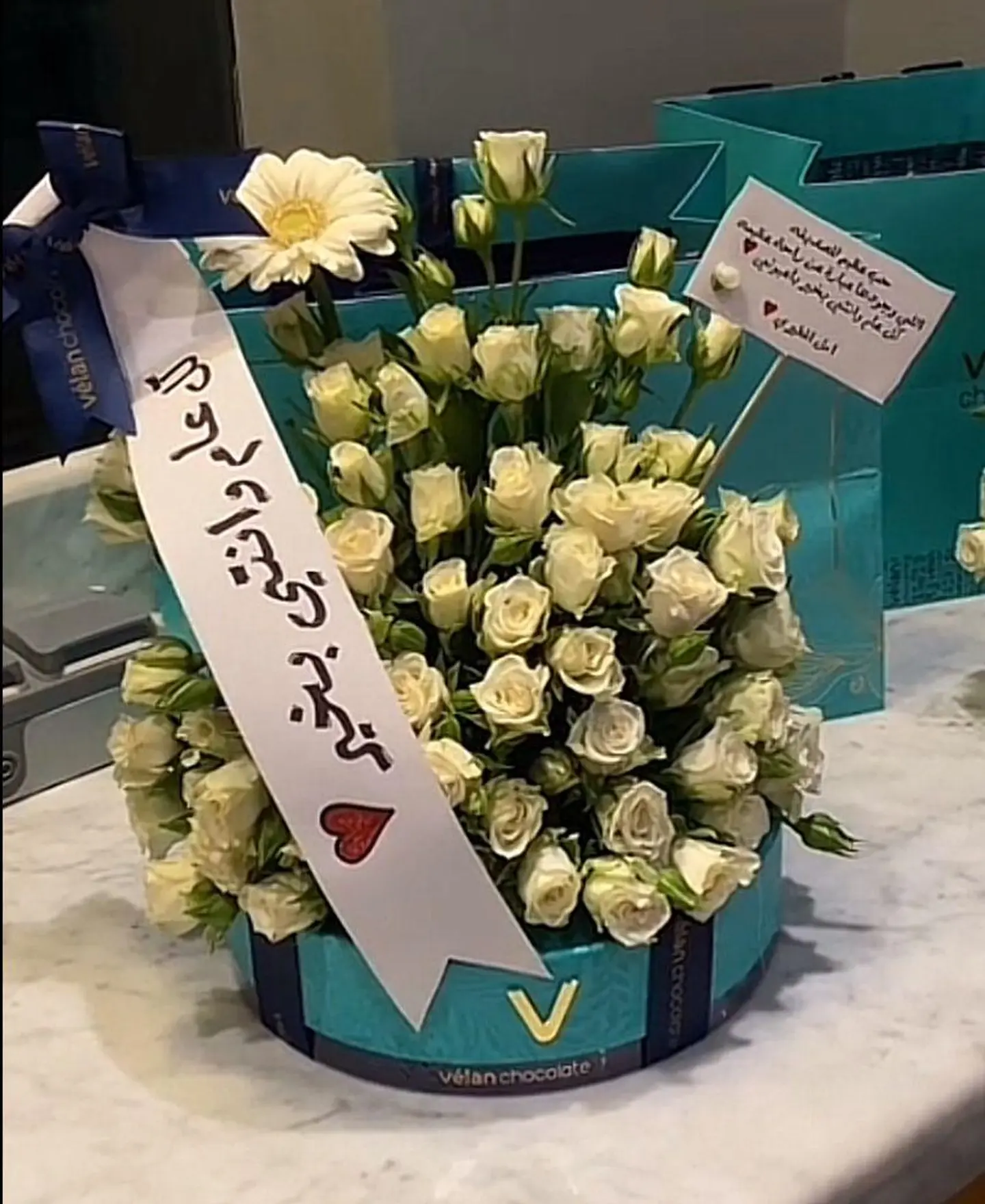 حلافيلان كلاسيك عيد ميلاد