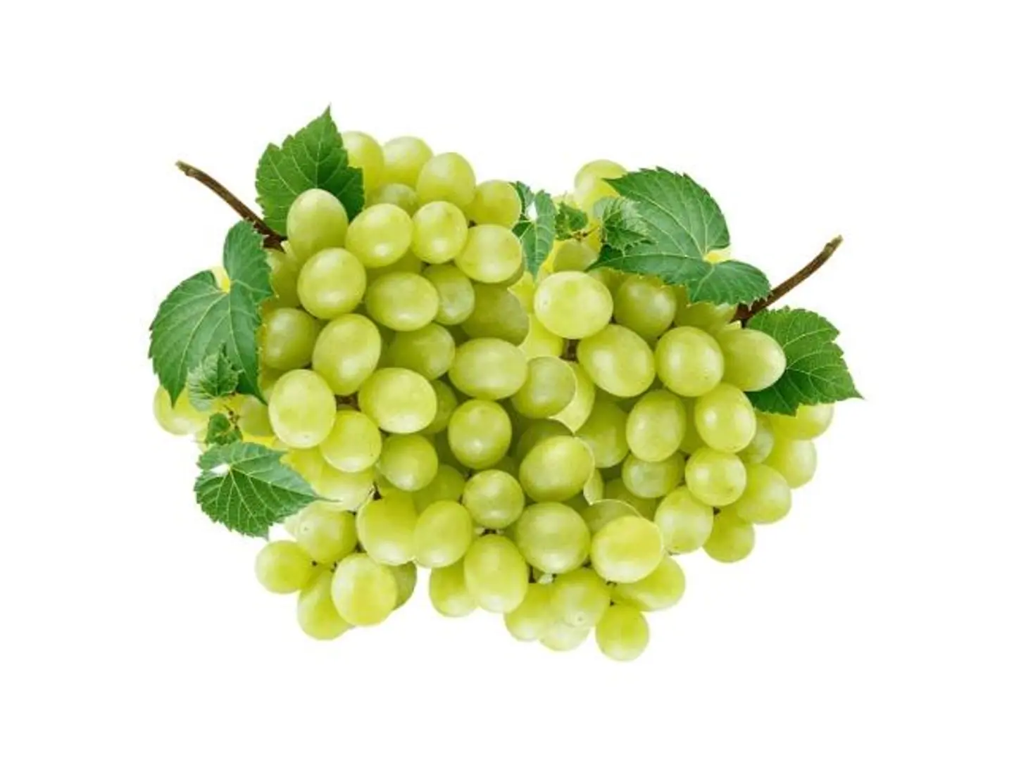 White Grapes Kilo