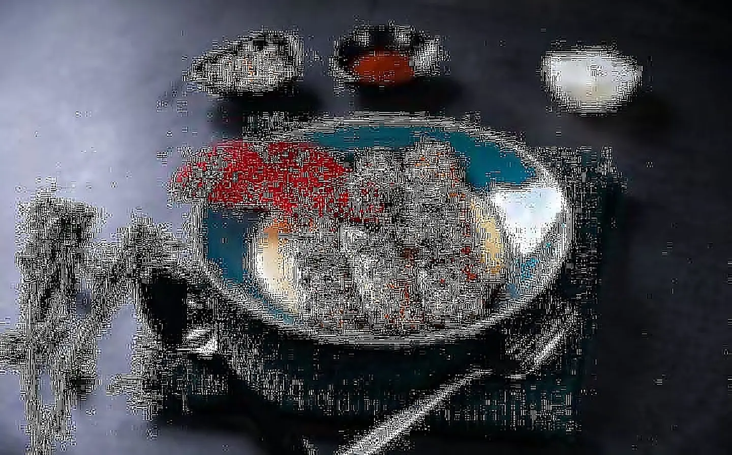 Chicken Kebab