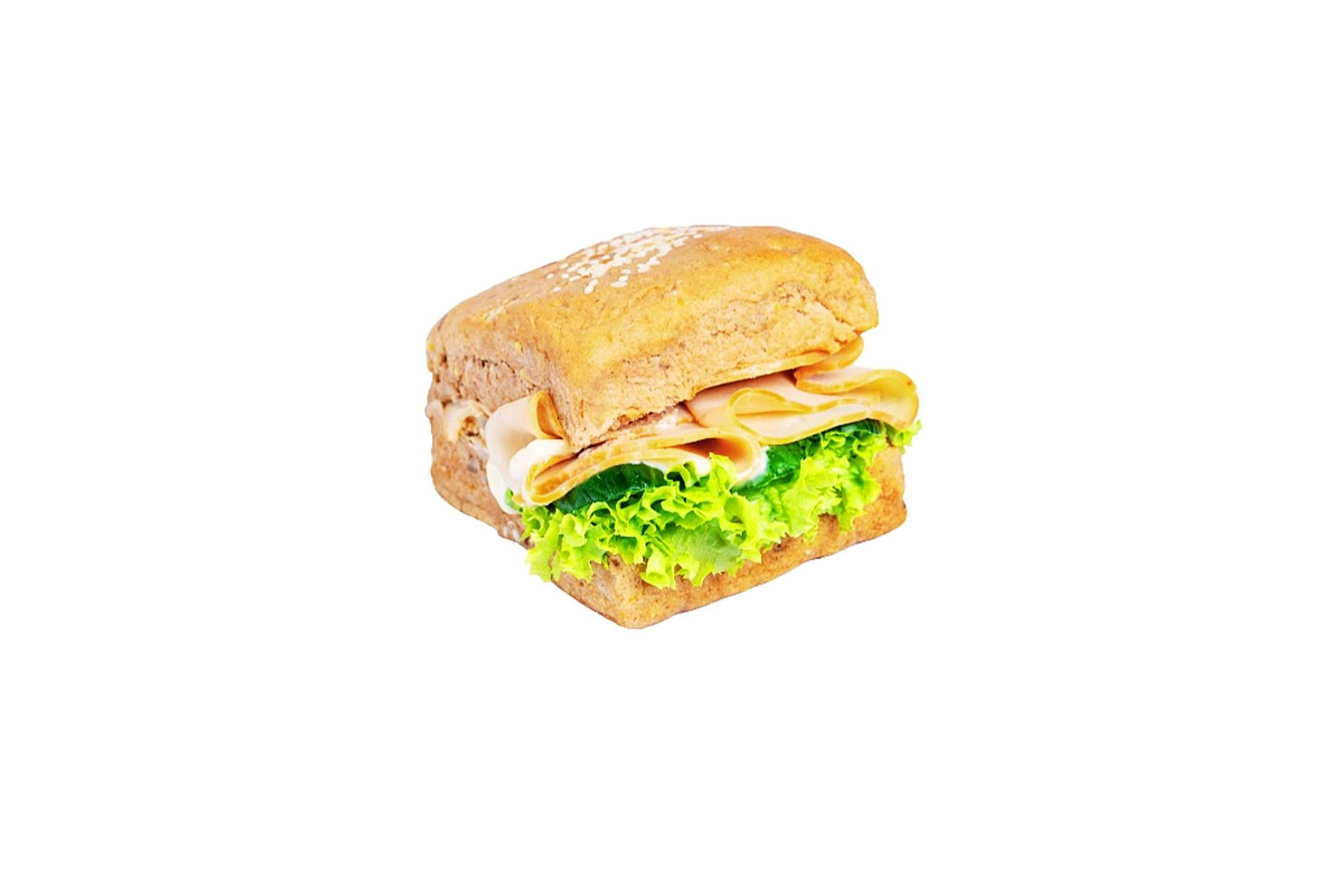 بانيني بمرتديلا الديك الرومي