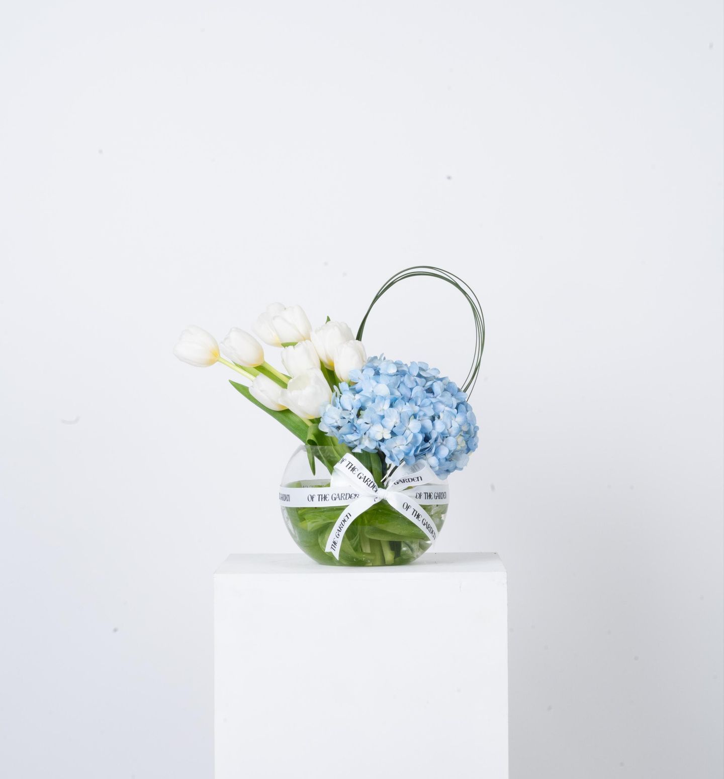 White Tulip Vase