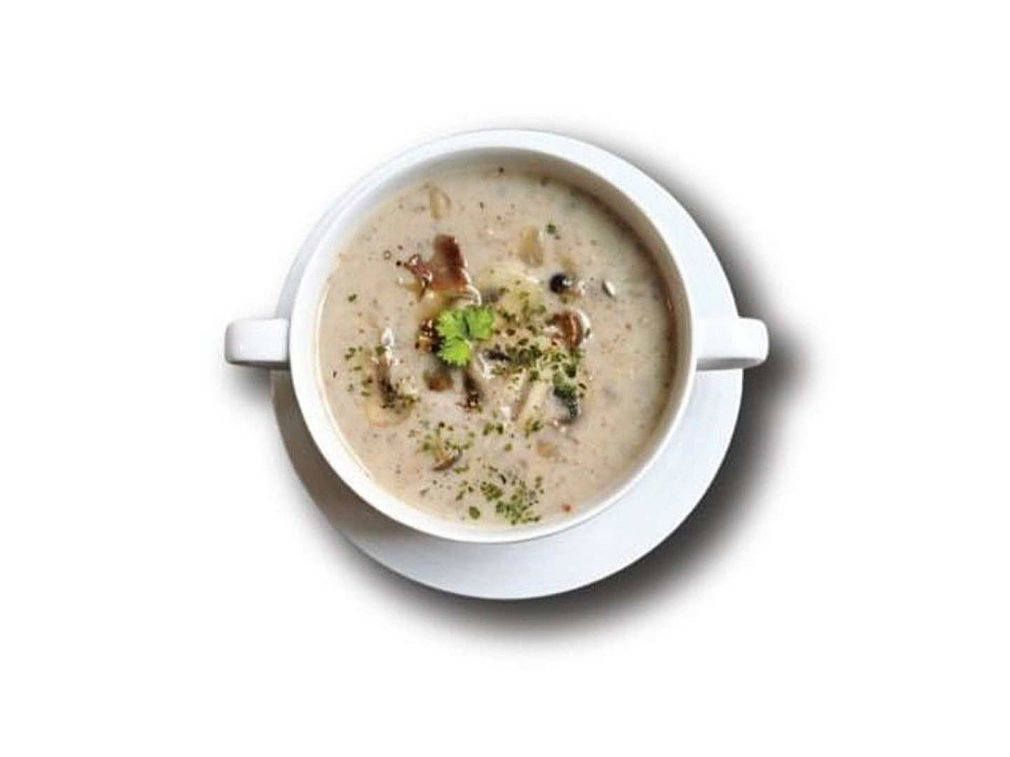 شوربة الفطر