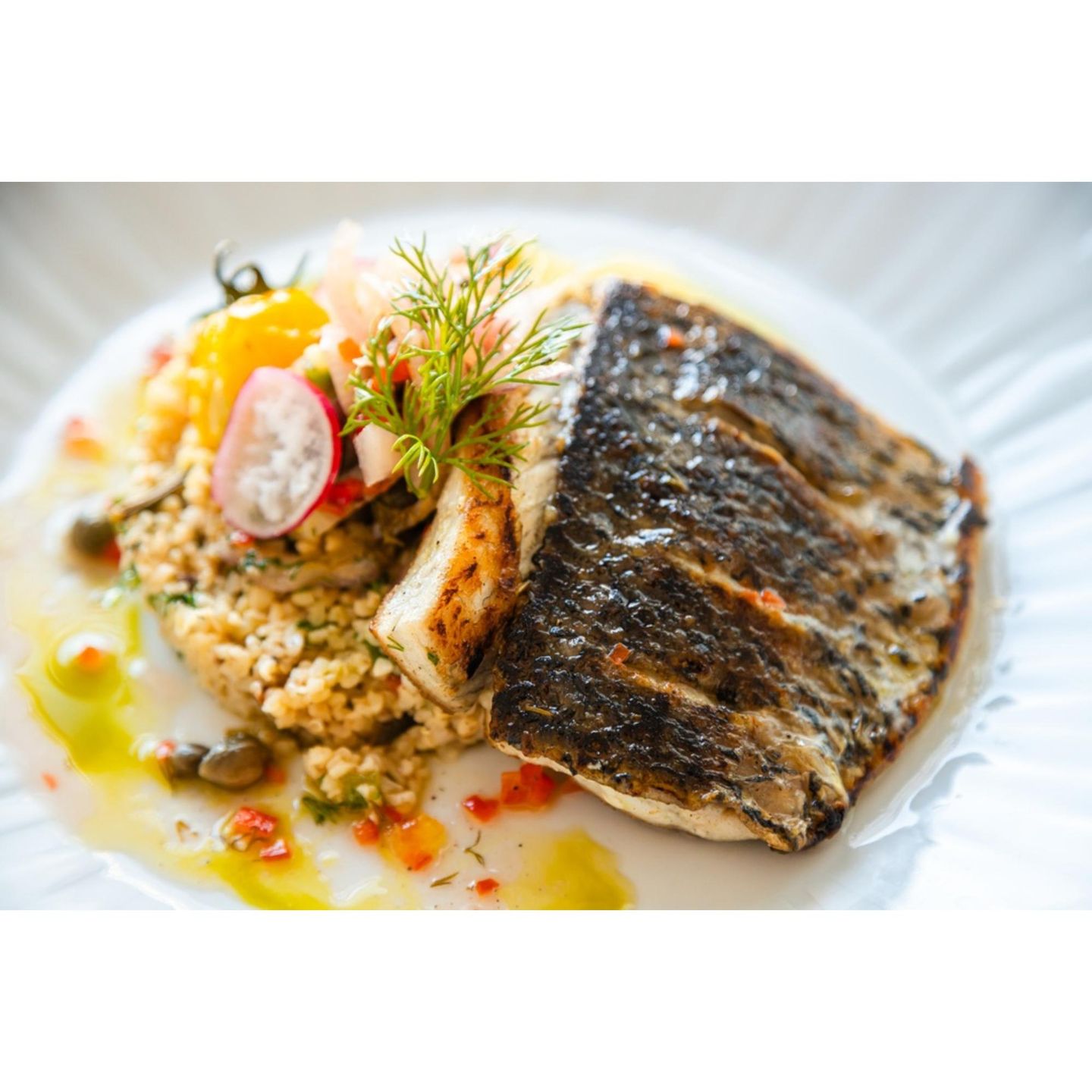 Isaki Wild Sea Bass