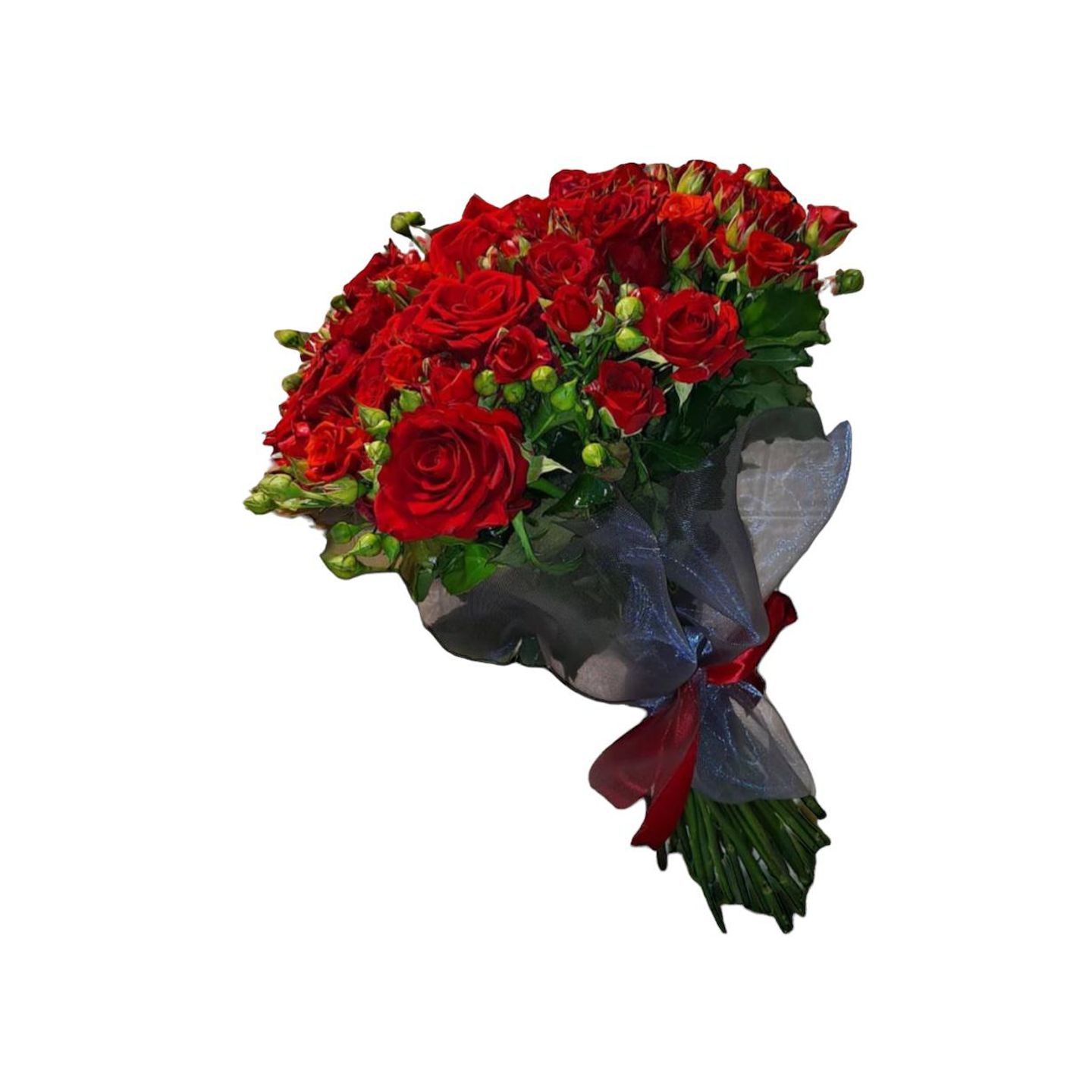 Baby Rose Red