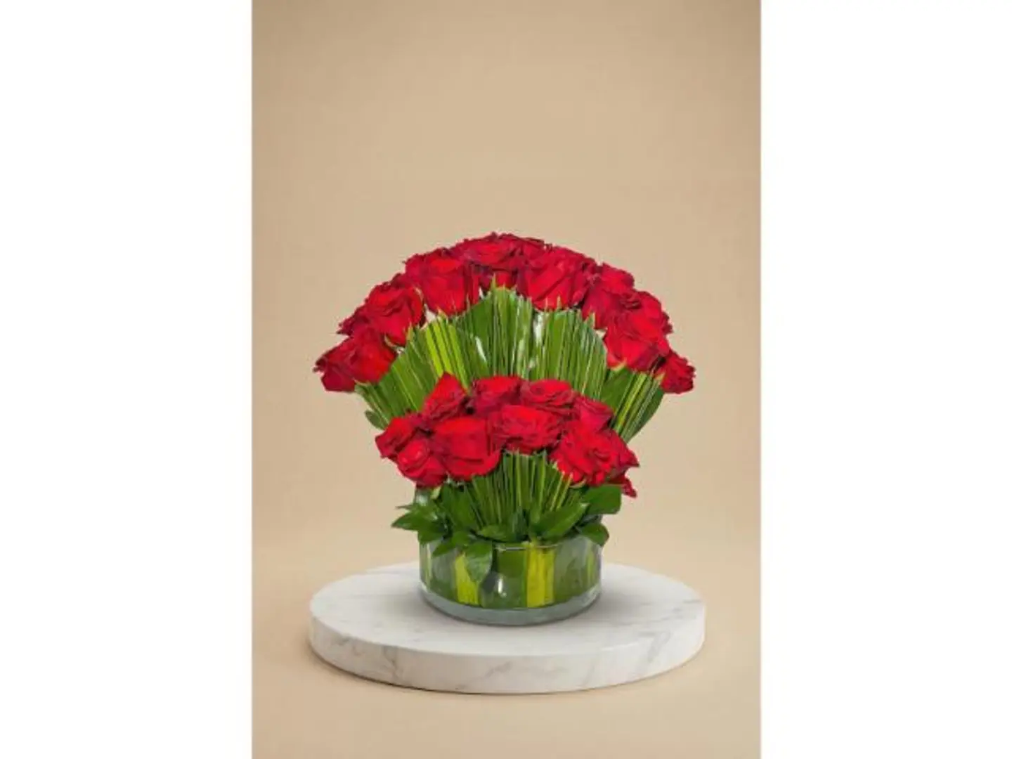 فازة الجمال الأحمر