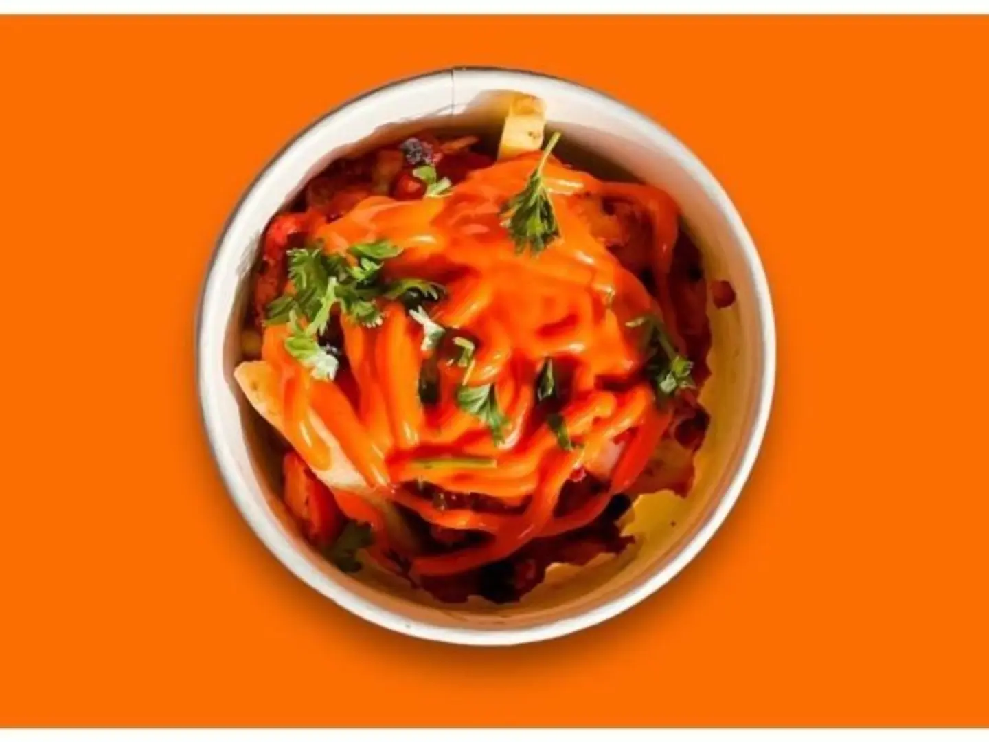 Tikka Fries