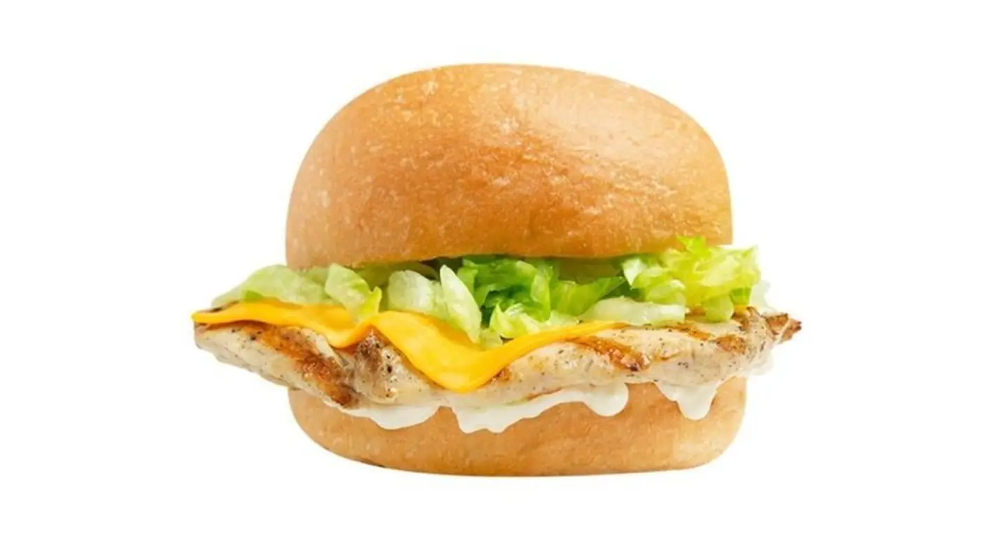 Grilled Chicken Burger