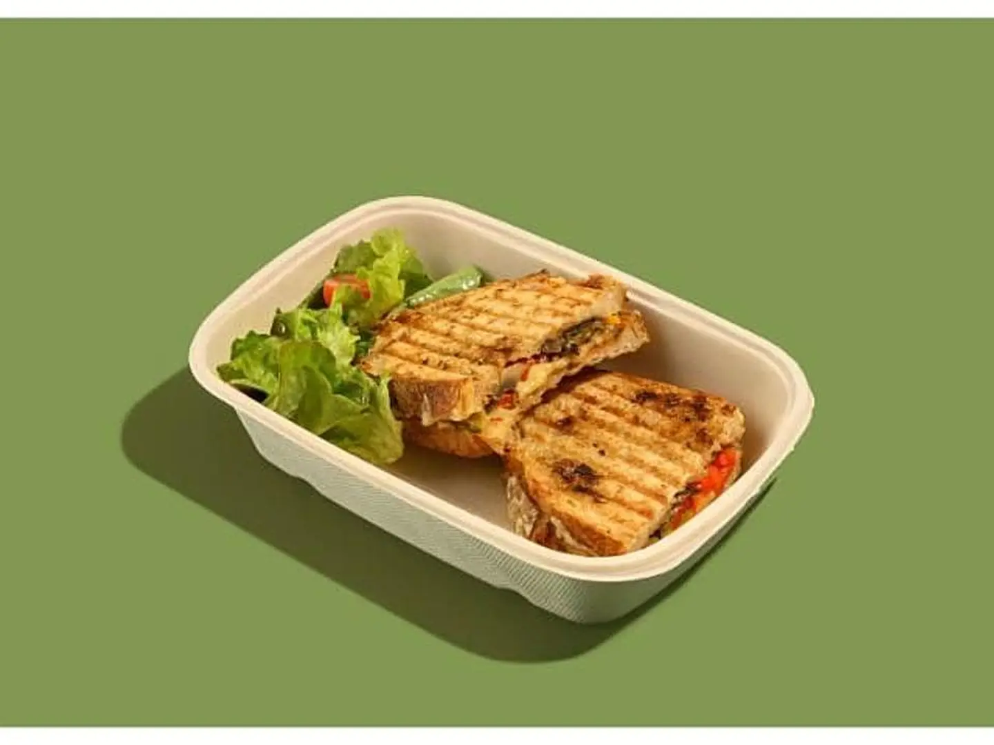 Melted Vegetable Sandwich