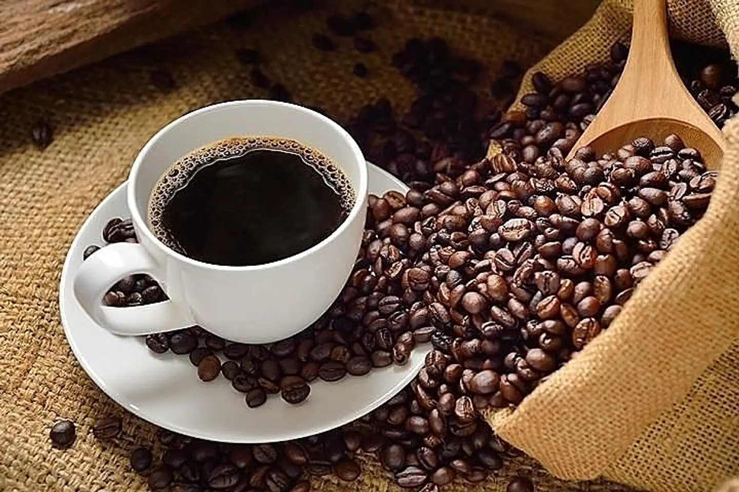 Coffee