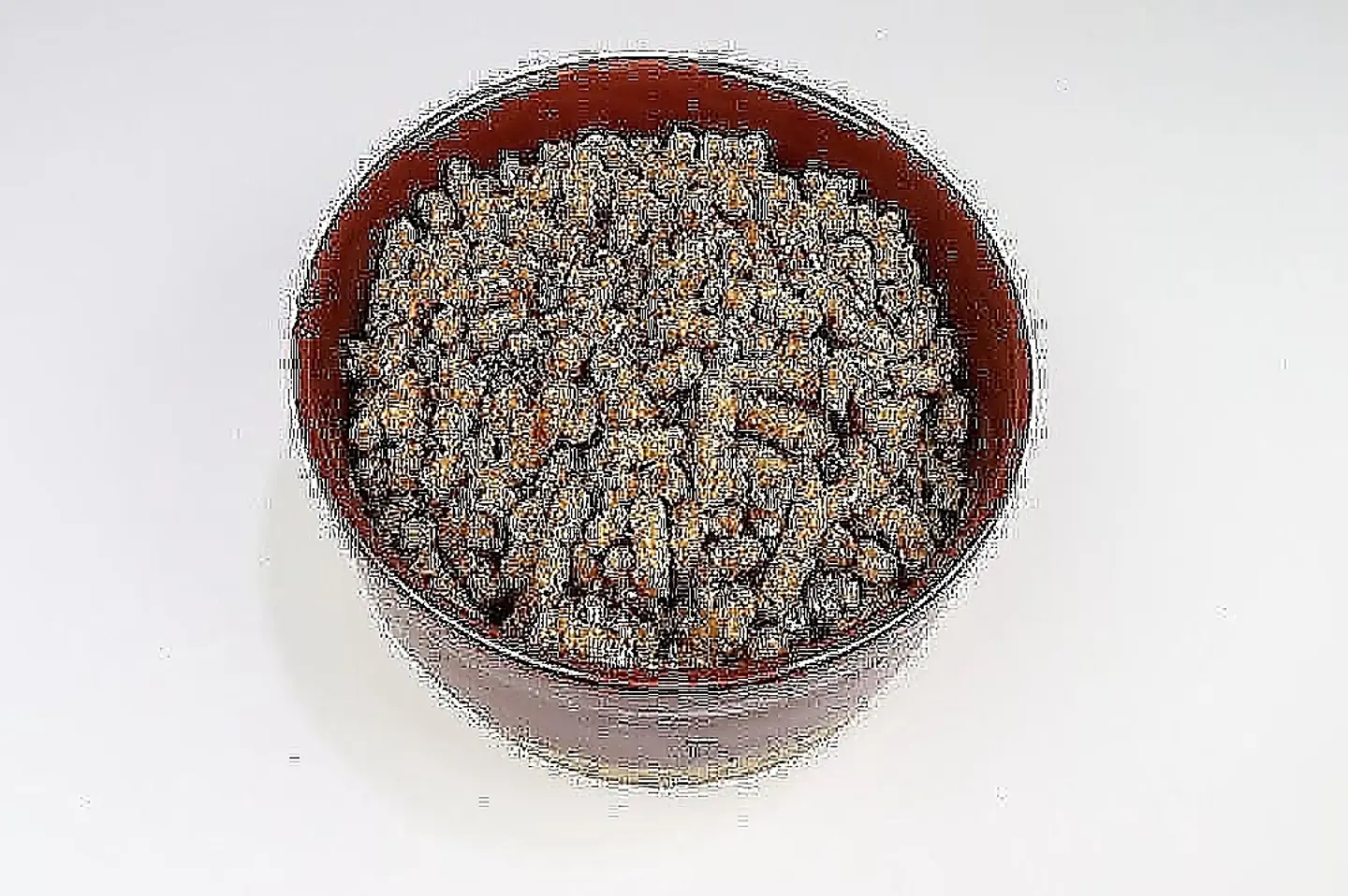 فتة بالسمن والعسل