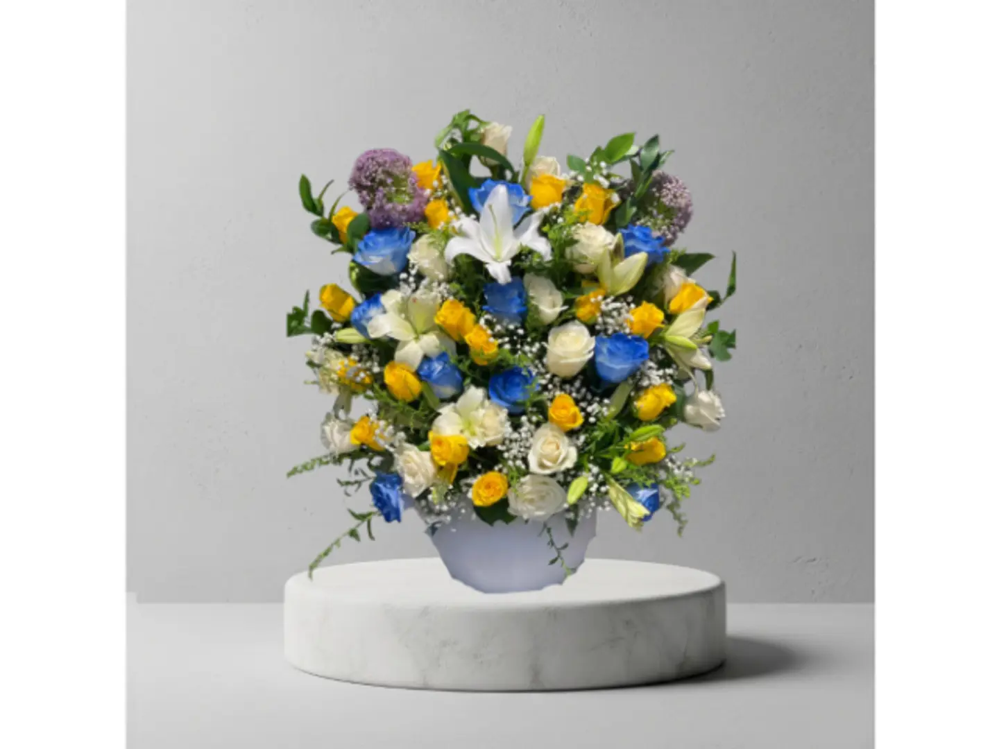 فازا المولود3