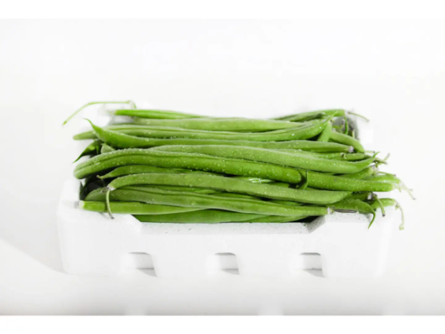 Beans Big Box