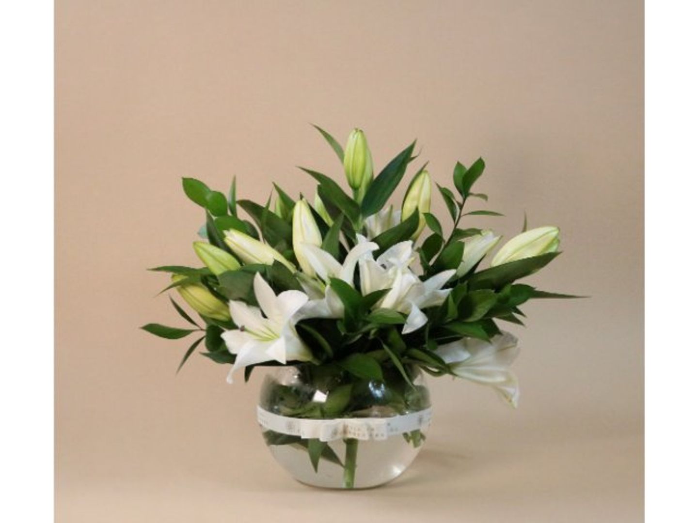 فازة 11