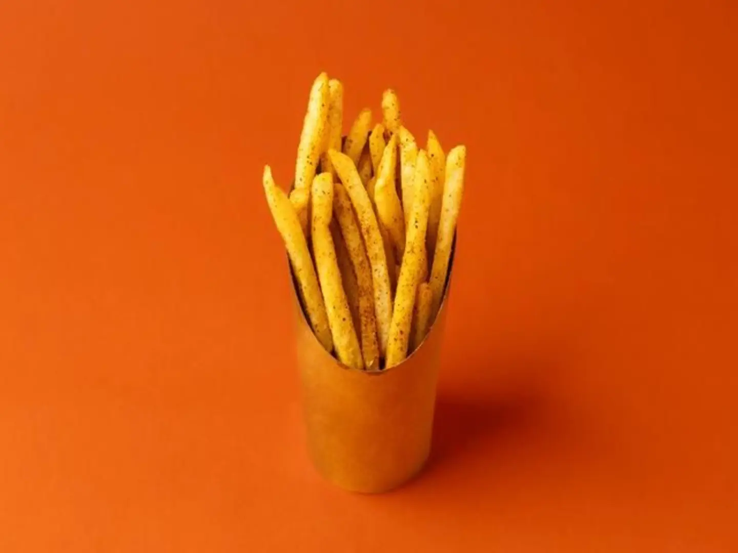 Seasoned Fries