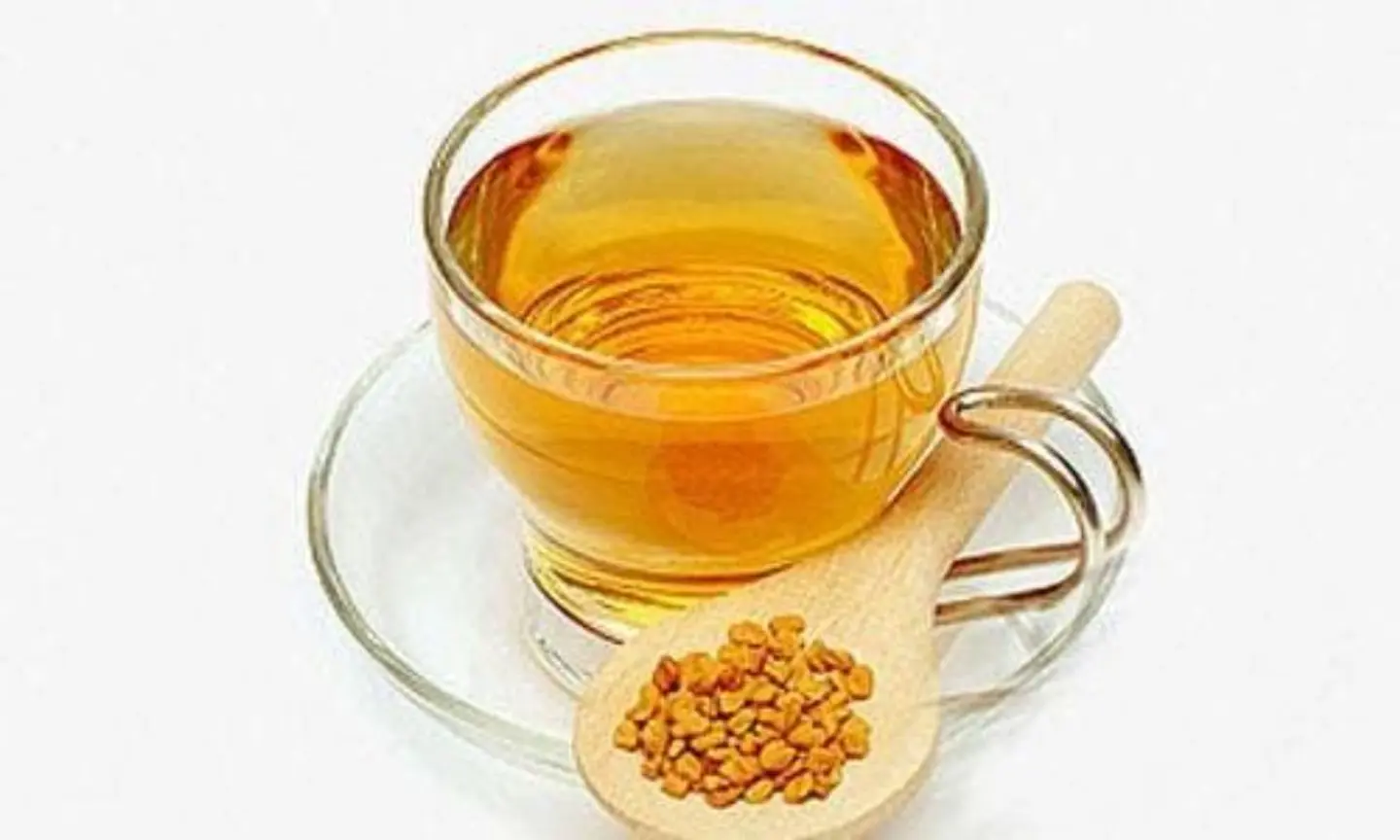 Plain Fenugreek