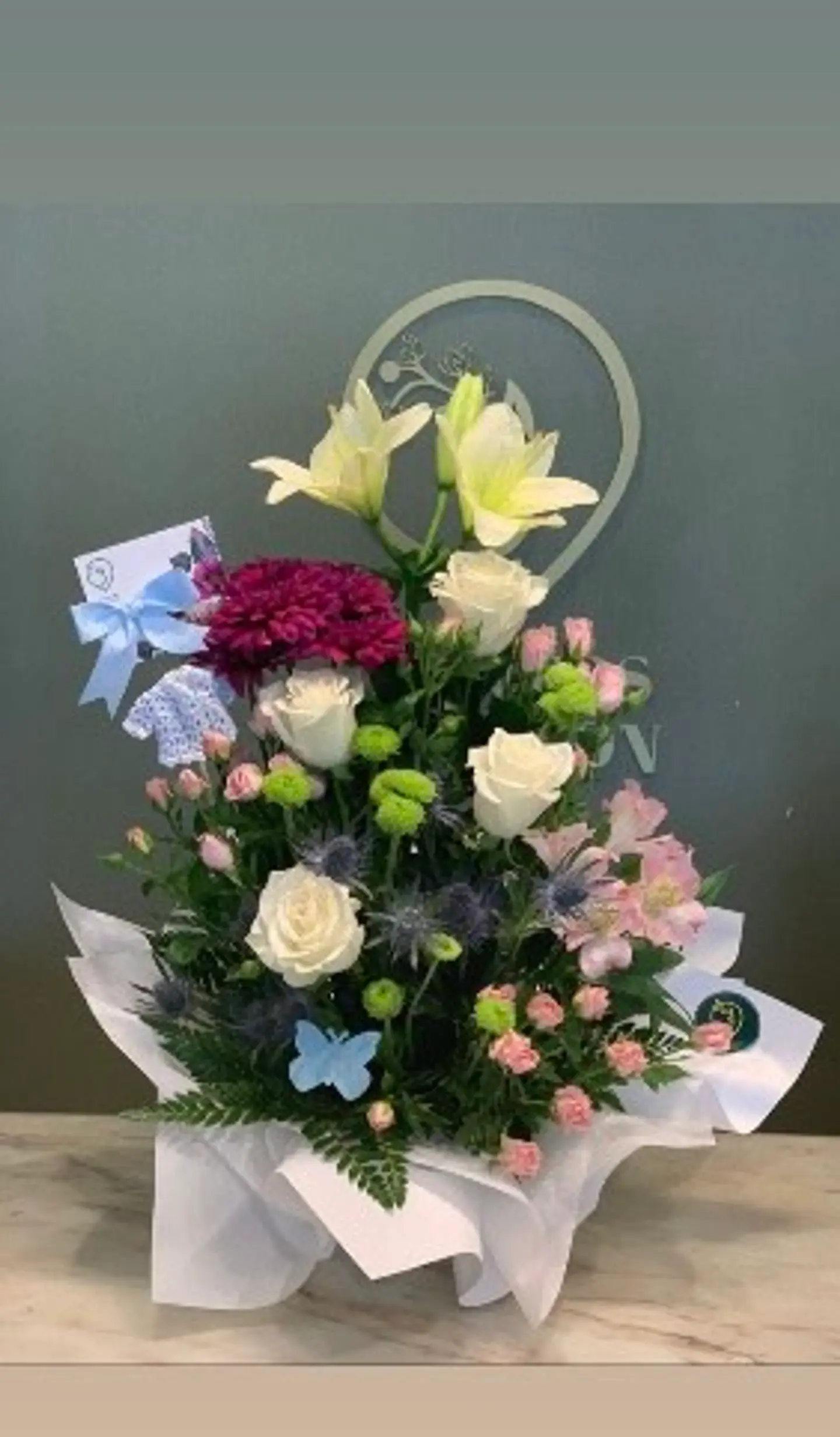 هاند بوكية مواليد