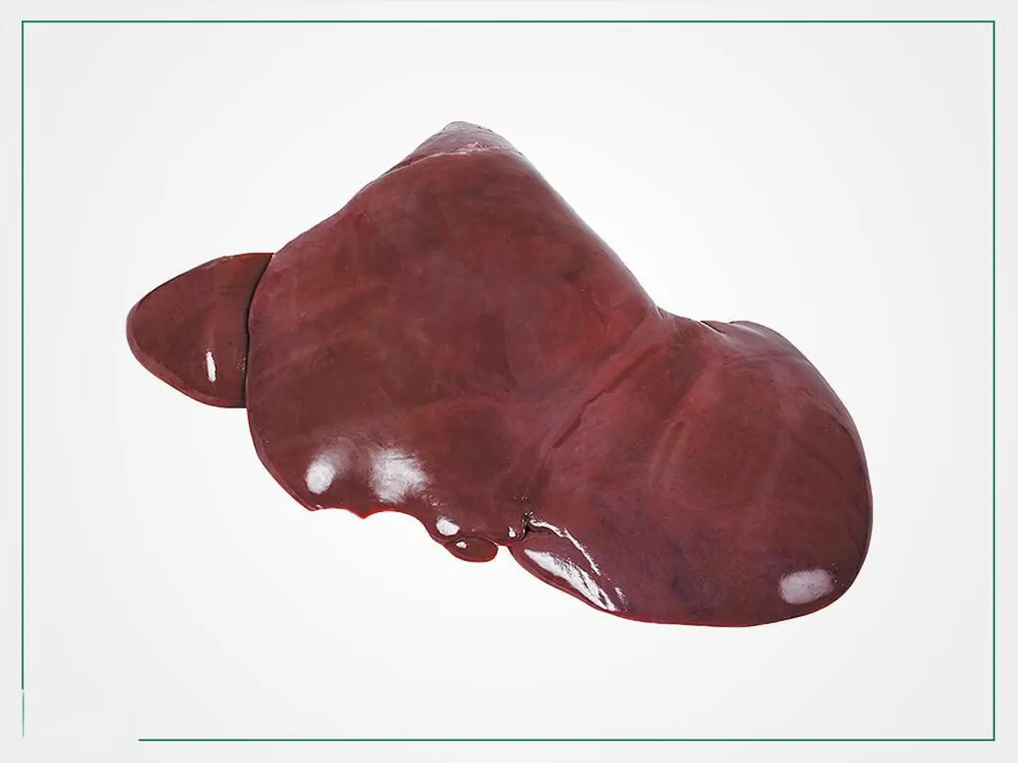 Veal Liver