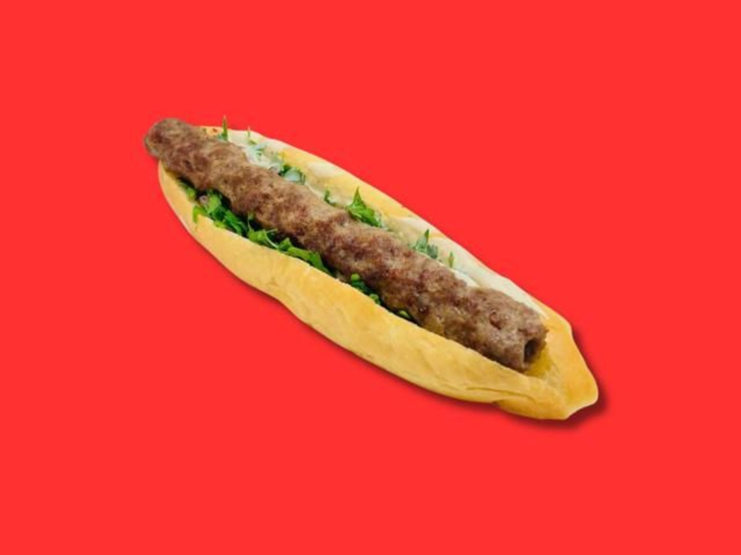 Meat Kebab